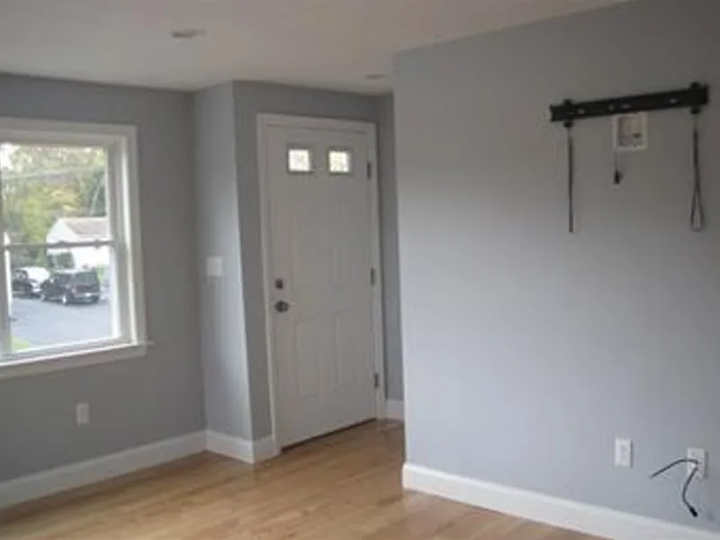A small entryway with a white front door, gray walls, and wooden floors.