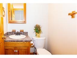 Small bathroom with wooden vanity, sink, mirror, and a toilet topped with a plant.