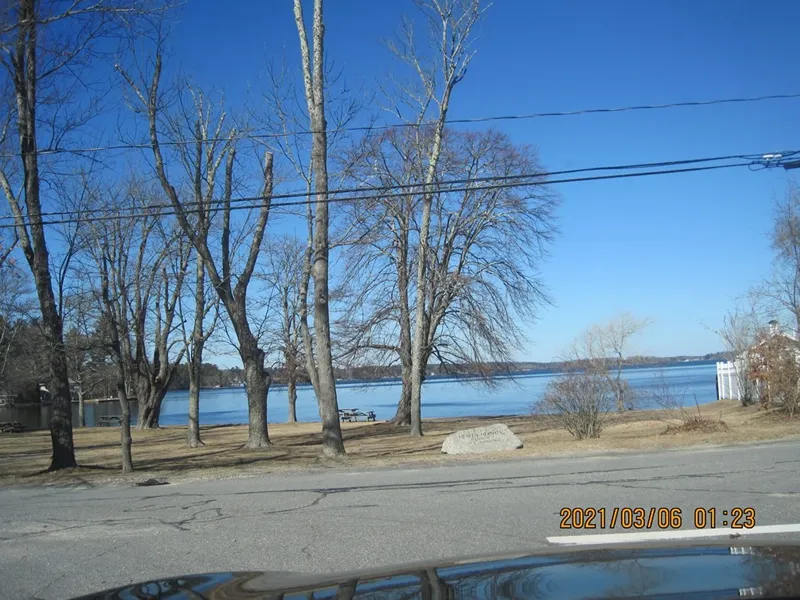 Bare trees by a calm lake on a clear day, with a road and power lines in front.