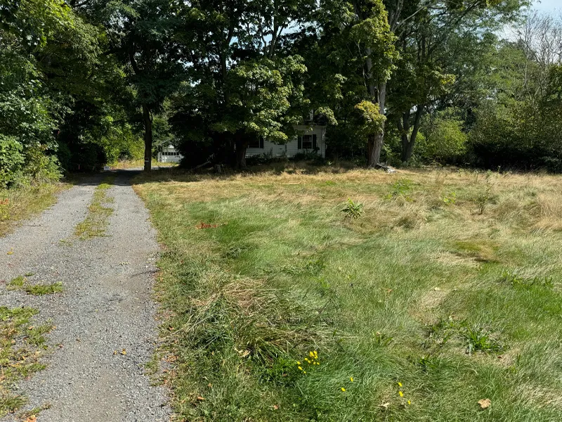 A gravel driveway leads to a house partially hidden by trees and overgrown grass.
