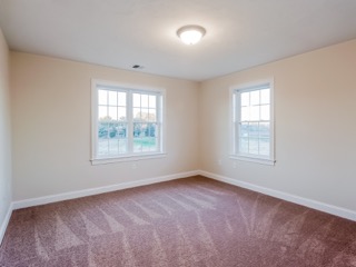 Empty room with beige walls, brown carpet, two windows, and a ceiling light fixture.