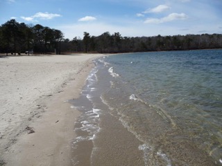 Sandy beach with gentle waves, clear water, and trees lining the shore under a blue sky.