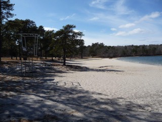 Sandy beach with trees, empty lifeguard chair, and calm water under a blue sky.