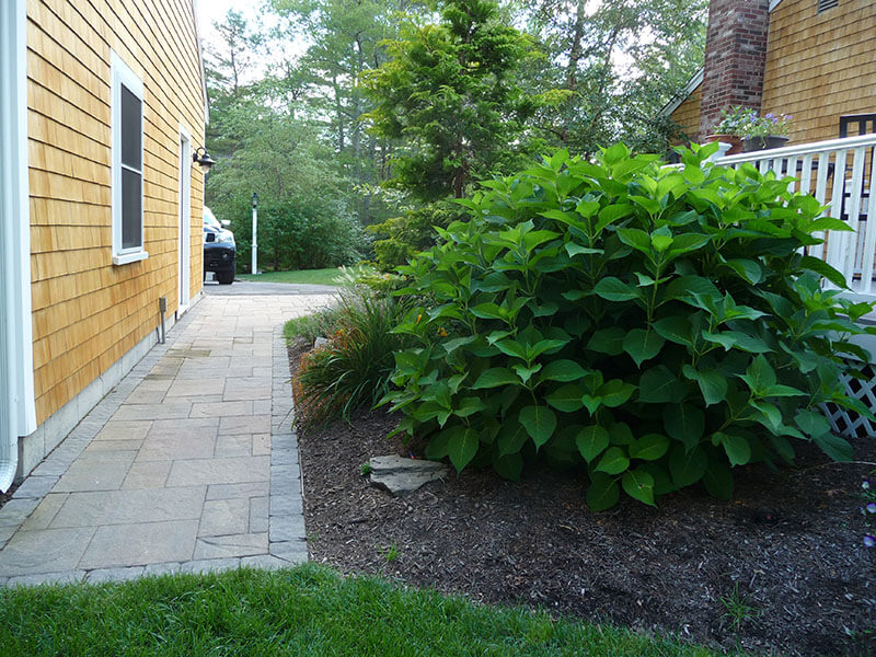 Stone path beside a house with large green shrub and a grassy area in the foreground.