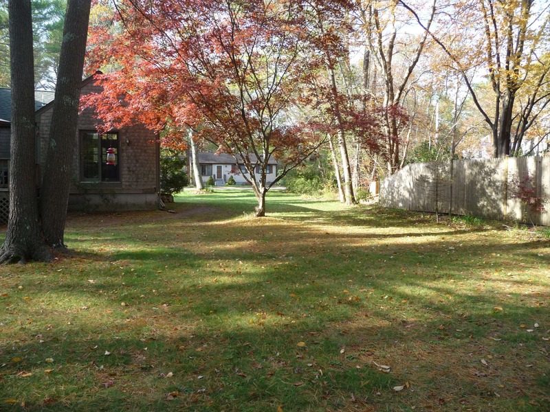 A shady backyard with autumn trees, grass, a wooden fence, and a house in the distance.