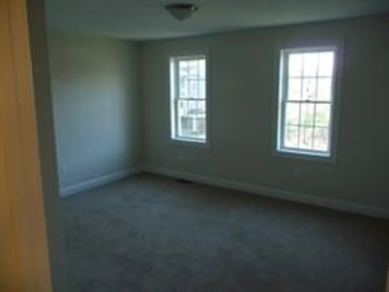 Empty room with two large windows, beige carpet, and white walls.