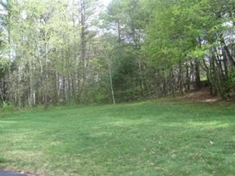 Grassy open area bordered by tall trees with green leaves under daylight.