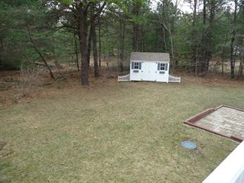 Small white shed with double doors in a grassy yard, surrounded by tall trees.