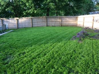 A backyard with a wooden fence and freshly mowed green grass.