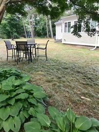 Patio table and chairs on a dry lawn near a house, with leafy plants in the foreground.