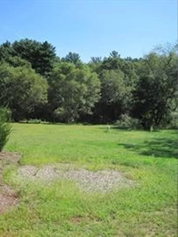 A grassy field with trees in the background under a clear blue sky.