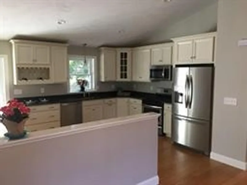 Modern kitchen with white cabinets, stainless steel appliances, and a flowerpot on counter.