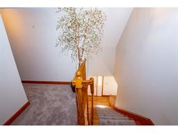 View from the top of a carpeted staircase with a decorative plant on the banister.