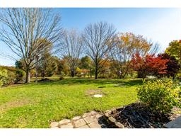 Backyard with green grass, trees losing leaves, and some autumn-colored foliage.