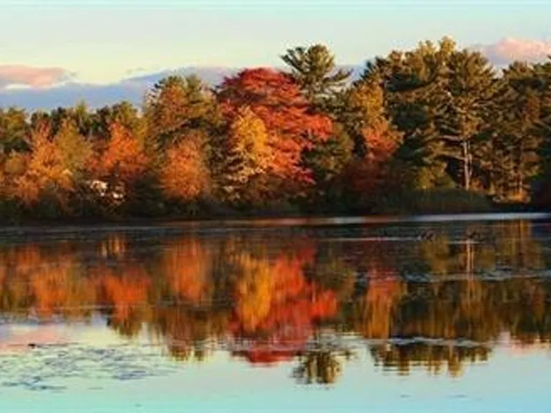 Colorful autumn trees are reflected in a calm lake under a blue sky with clouds.