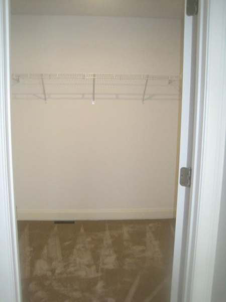 Empty walk-in closet with white walls, beige carpet, and a single wire shelf.