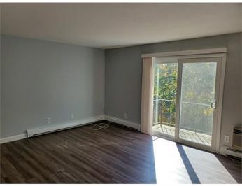 Empty living room with gray walls, wood floors, and sliding glass door to a small balcony.