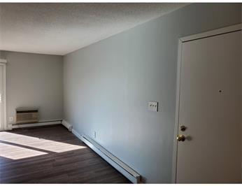 Empty room with gray walls, wood floor, and a white door with sunlight streaming in.