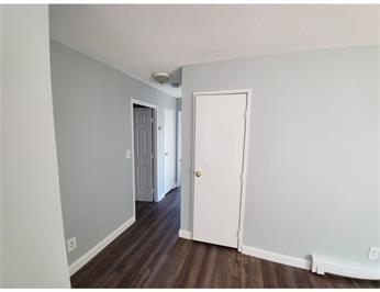 Small, empty room with gray walls, dark flooring, and two white doors.
