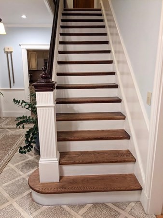 Wooden staircase with white risers and a banister in a carpeted hallway with a plant.