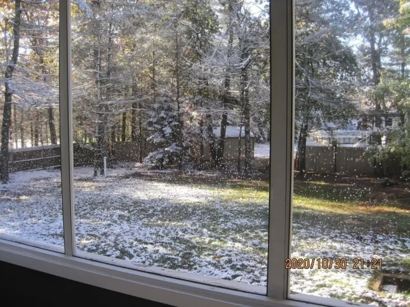 View through a window of a snowy backyard with trees and a wooden fence in the background.