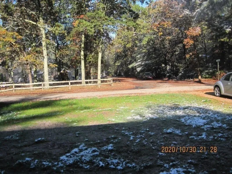 A sunlit park with trees, a dirt road, patches of snow, and a car on the right.