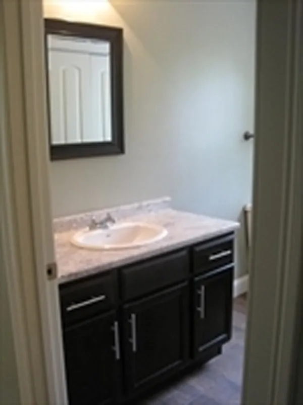 A bathroom vanity with a sink, dark cabinets, and a mirror above it.
