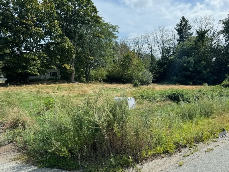 Overgrown grassy lot with tall weeds, trees, and a small white barrel near the center.