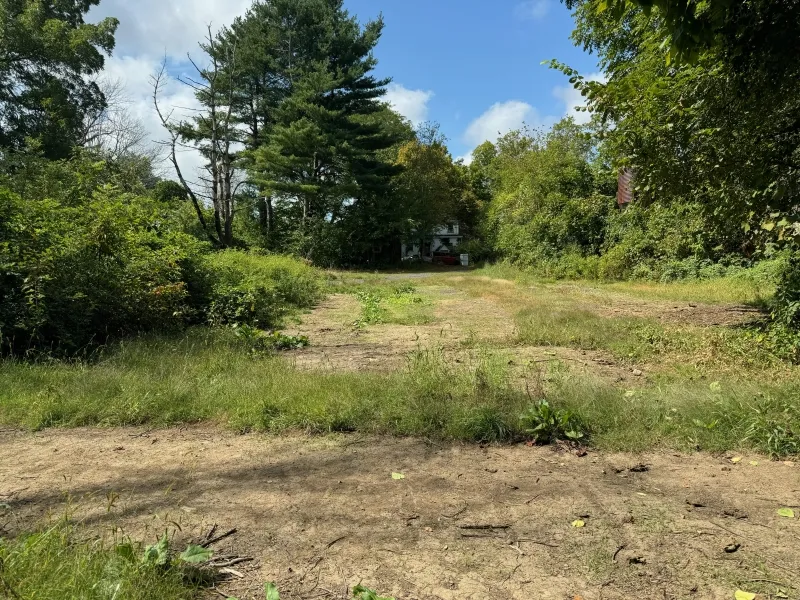 A grassy, partially cleared area surrounded by trees, with a small house in the distance.