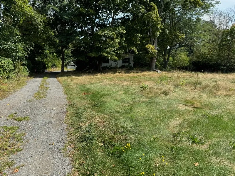 A gravel driveway leads to a small house surrounded by trees and overgrown grass.