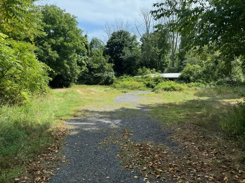 A gravel path through a grassy clearing surrounded by trees and dense greenery.