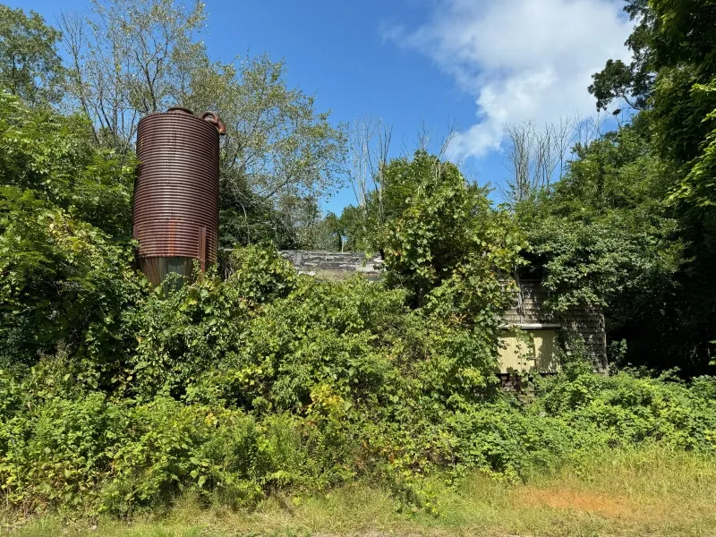 Rusty silo and overgrown vegetation surrounding an old, partially hidden building.