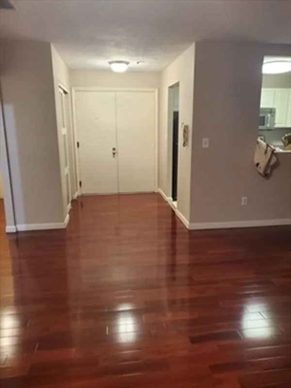 Entryway with double doors, wood floors, and view of a kitchen through a pass-through window.