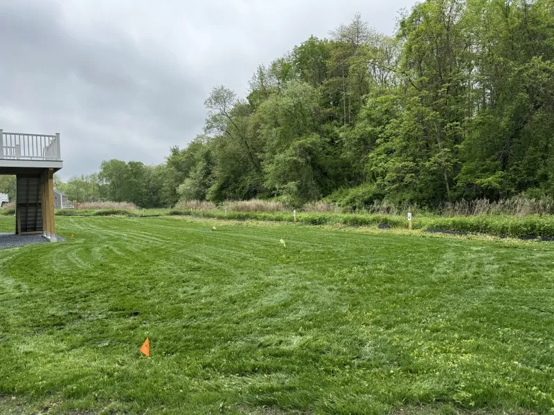 A grassy lawn with small orange cones and trees in the background on a cloudy day.