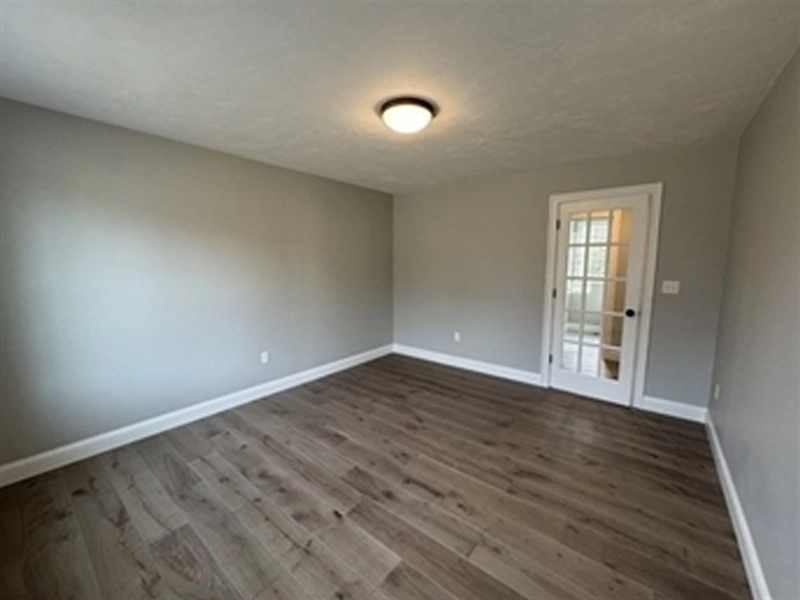 Empty room with gray walls, wood flooring, ceiling light, and glass French door.